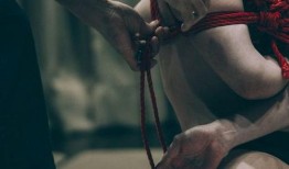 国产bdsm,情感与束缚的交融之旅